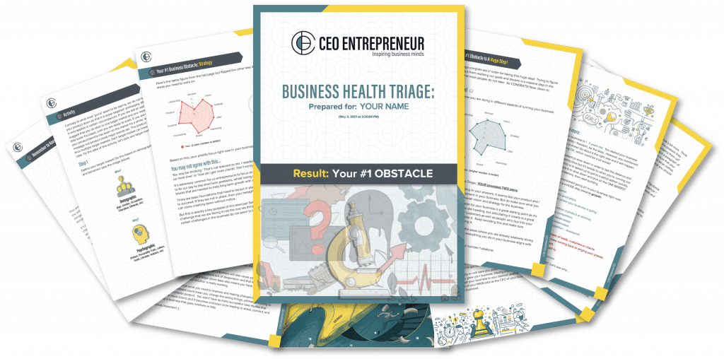 Business Triage Free Customised Report
